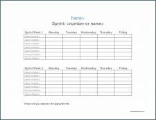 2 Week Timesheet Template Sample