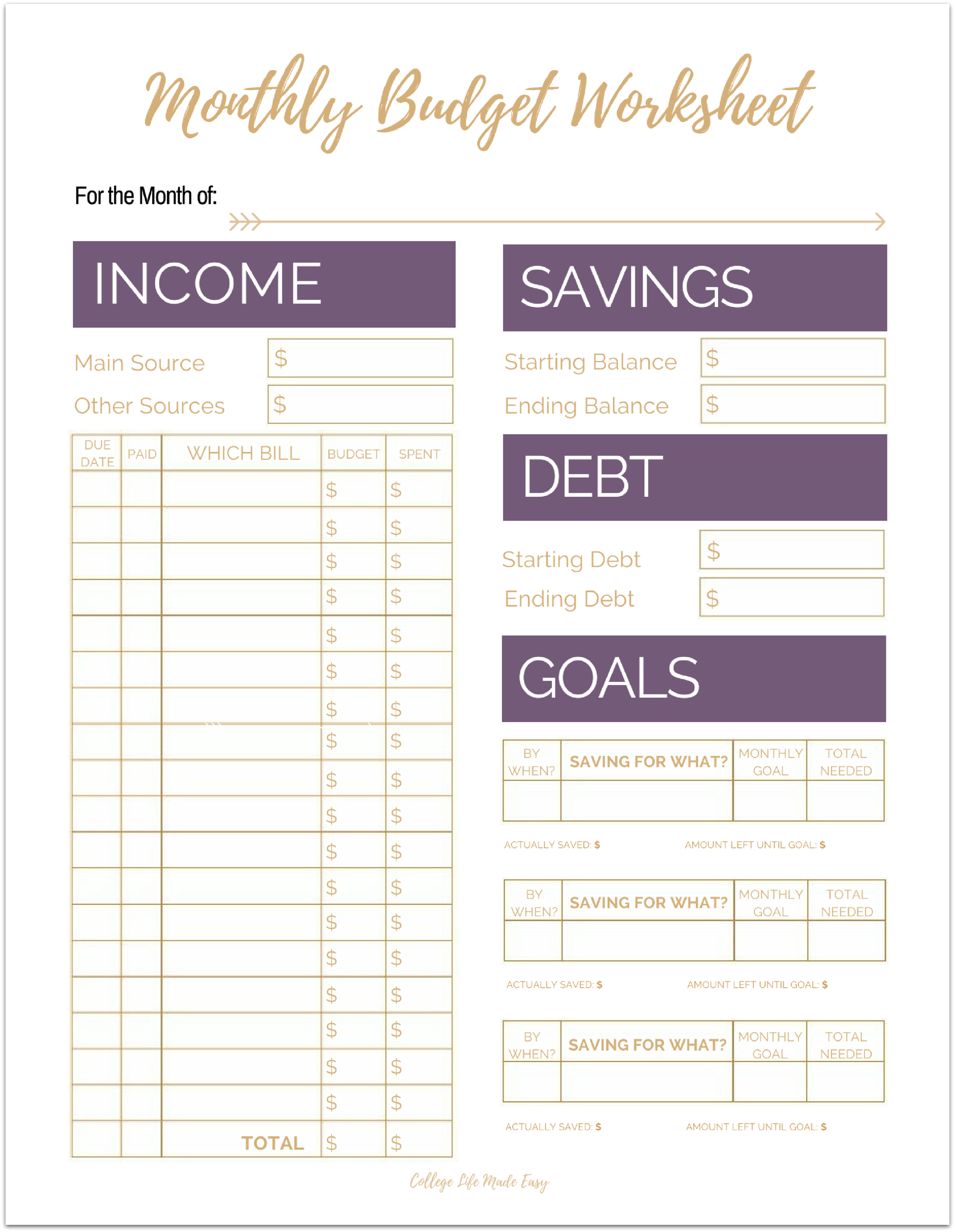 Academic Activity Budget Worksheet Template Sample