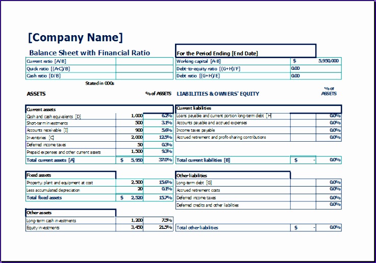 Financial Ratios Excel Template rjwnl New Balance Sheet with Financial Ratio