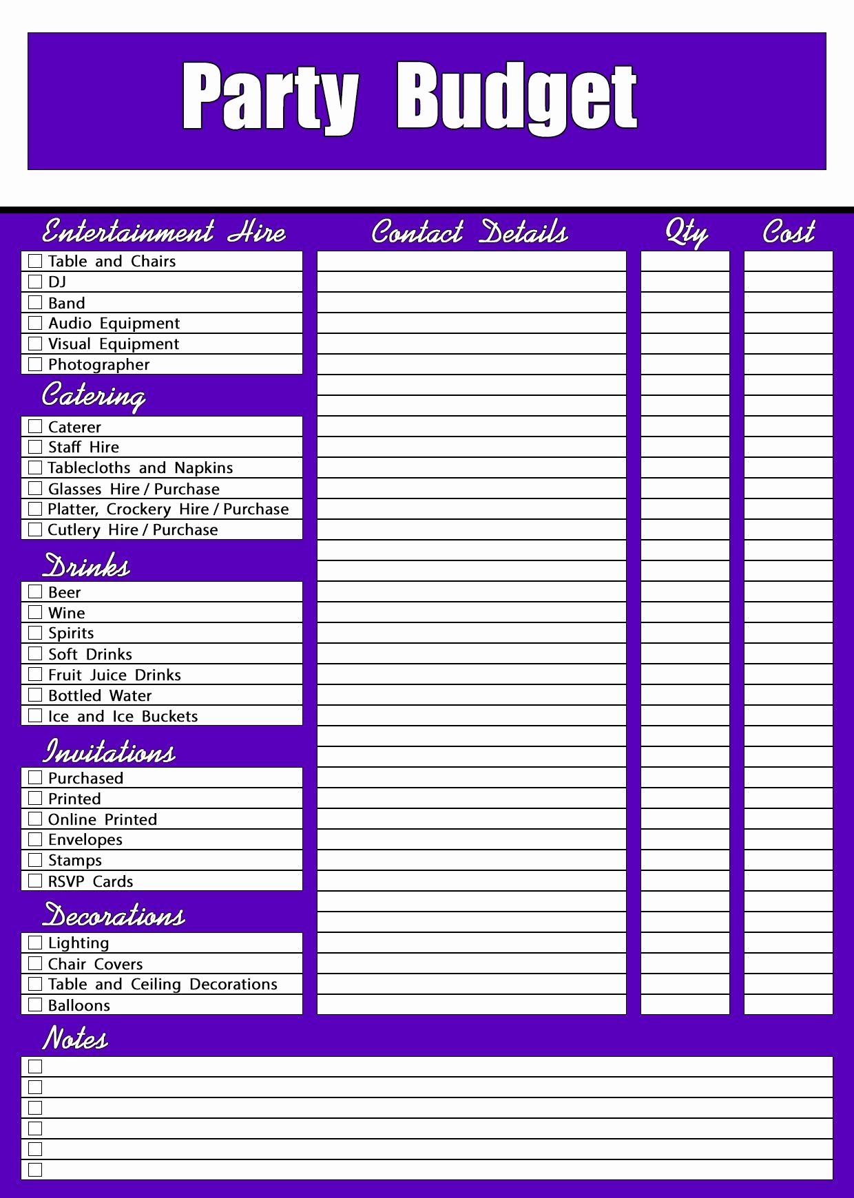 Birthday Party Budget Template Example