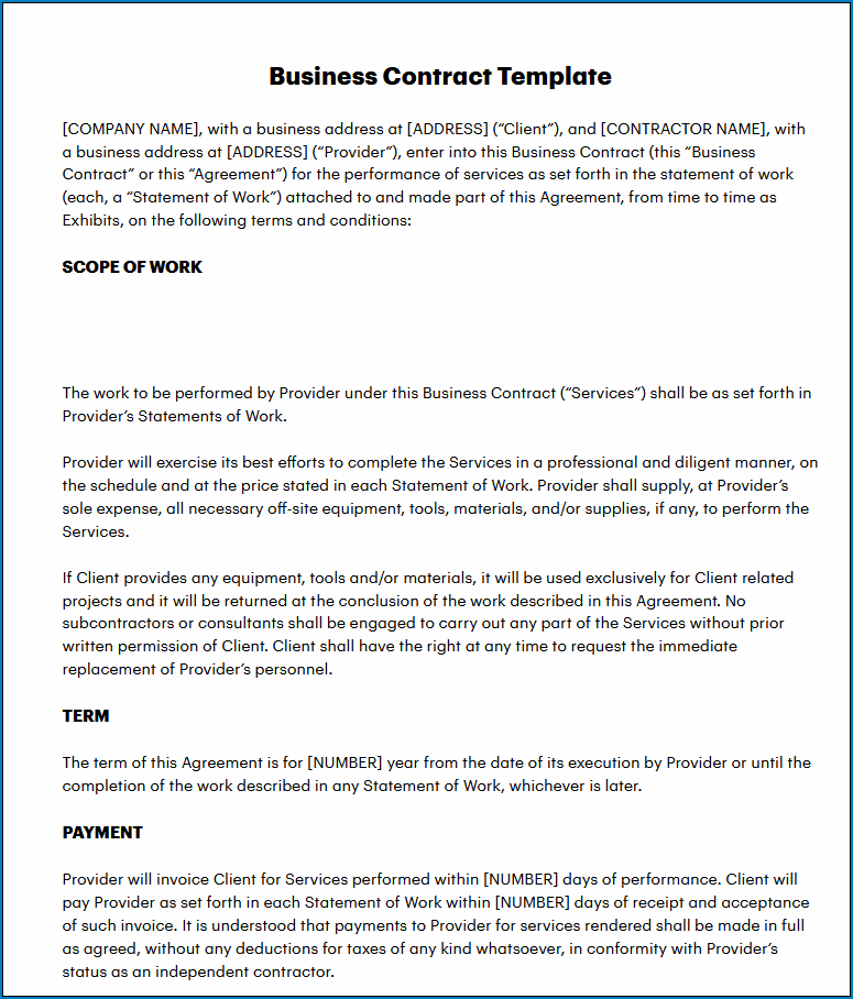 Example of Business Services Contract Template