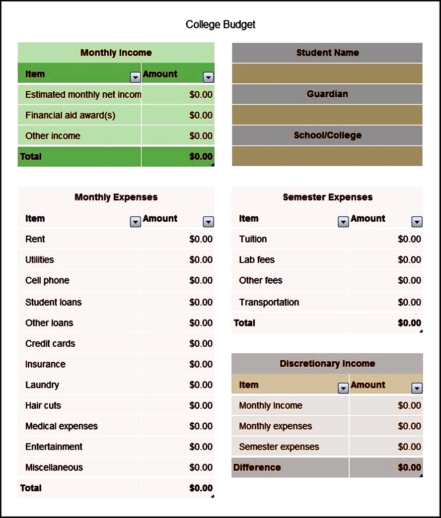 Example of College Party Budget Worksheet Template