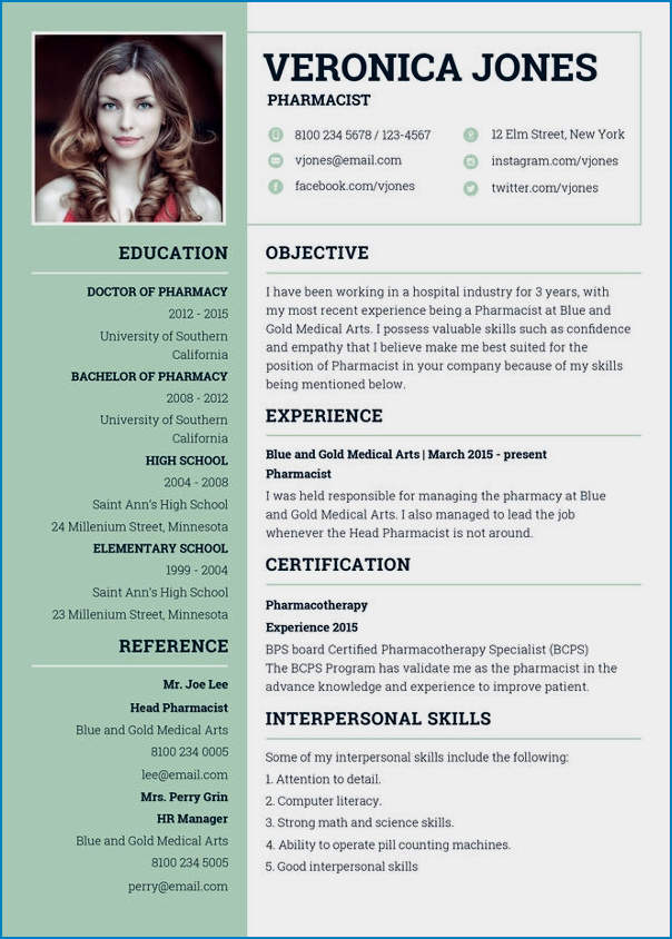 Example of Curriculum Vitae Template Word