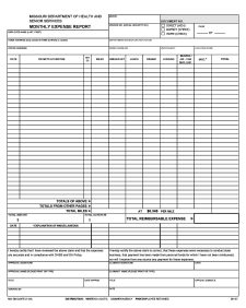 Example of Departmental Expense Report Template