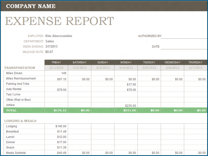 Example of Expense Report Template