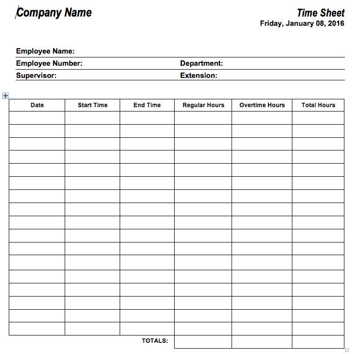 Example of Hour Timesheet Template