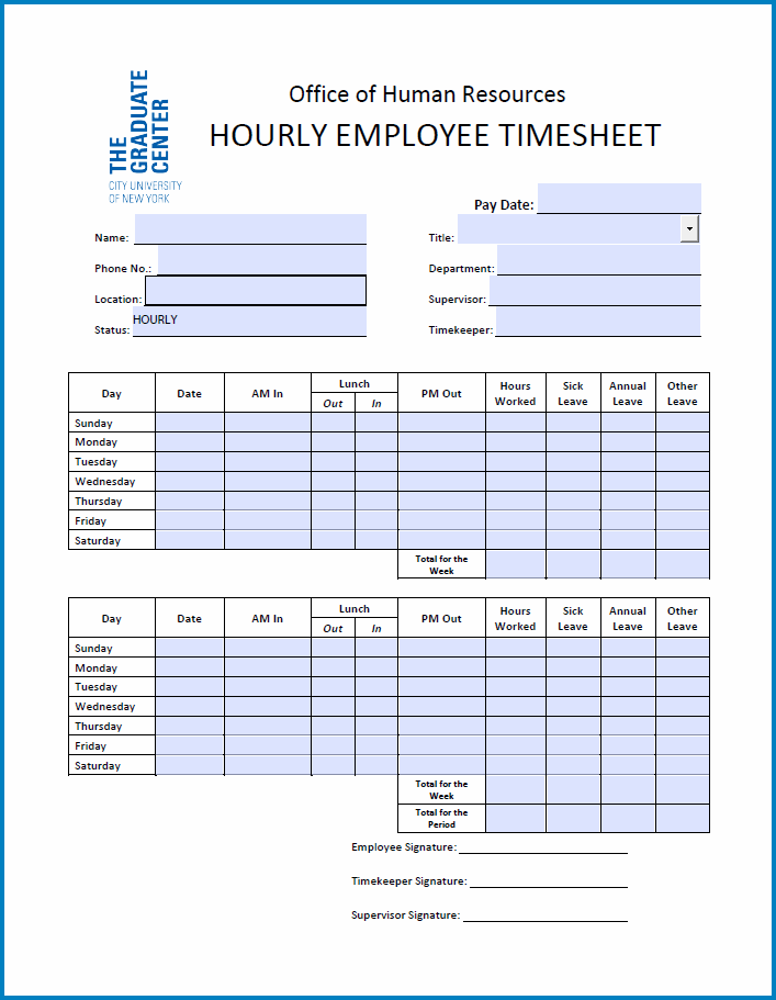 Example of Hourly Timesheet Template