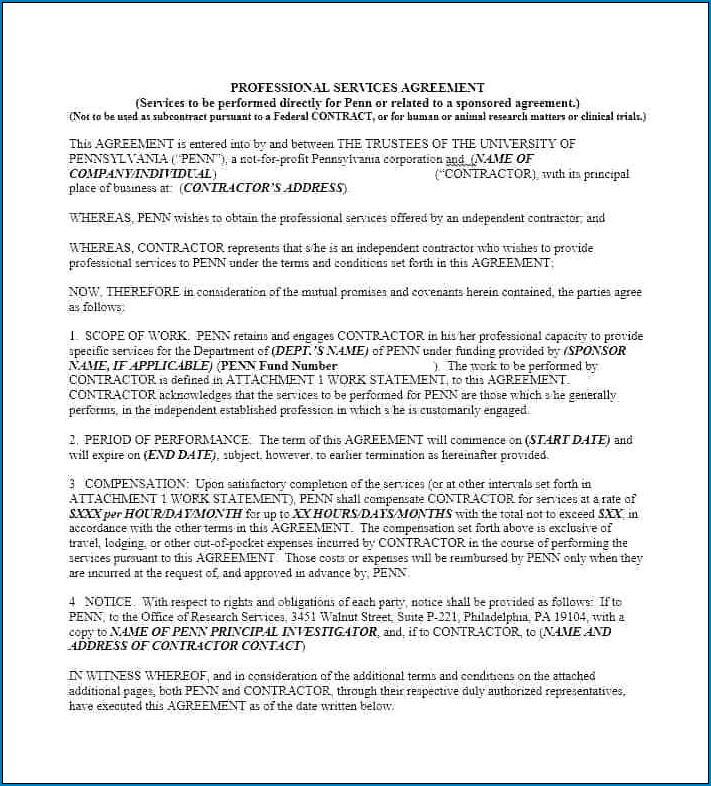 Example of Professional Services Agreement Template