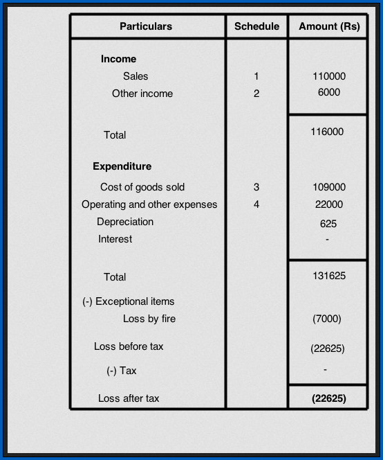 Example of Profit And Loss Statement Format