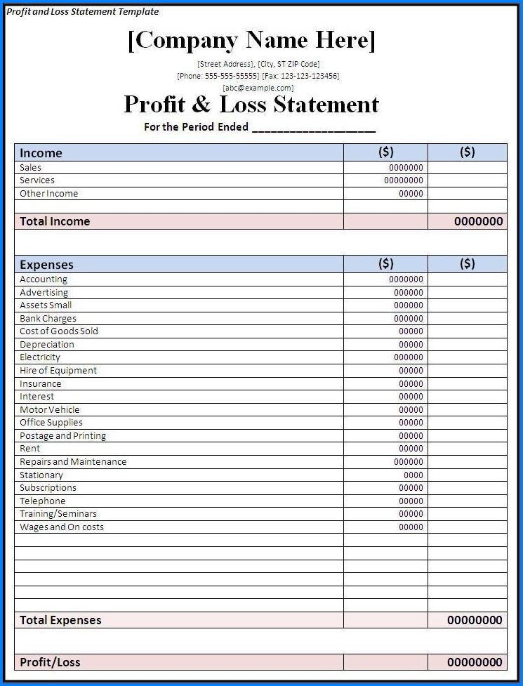 Example of Profit Loss Statement