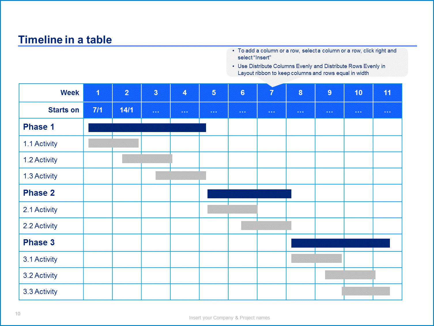 Example of Project Plan Template