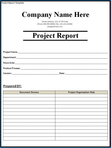 √ Free Printable Project Report Template