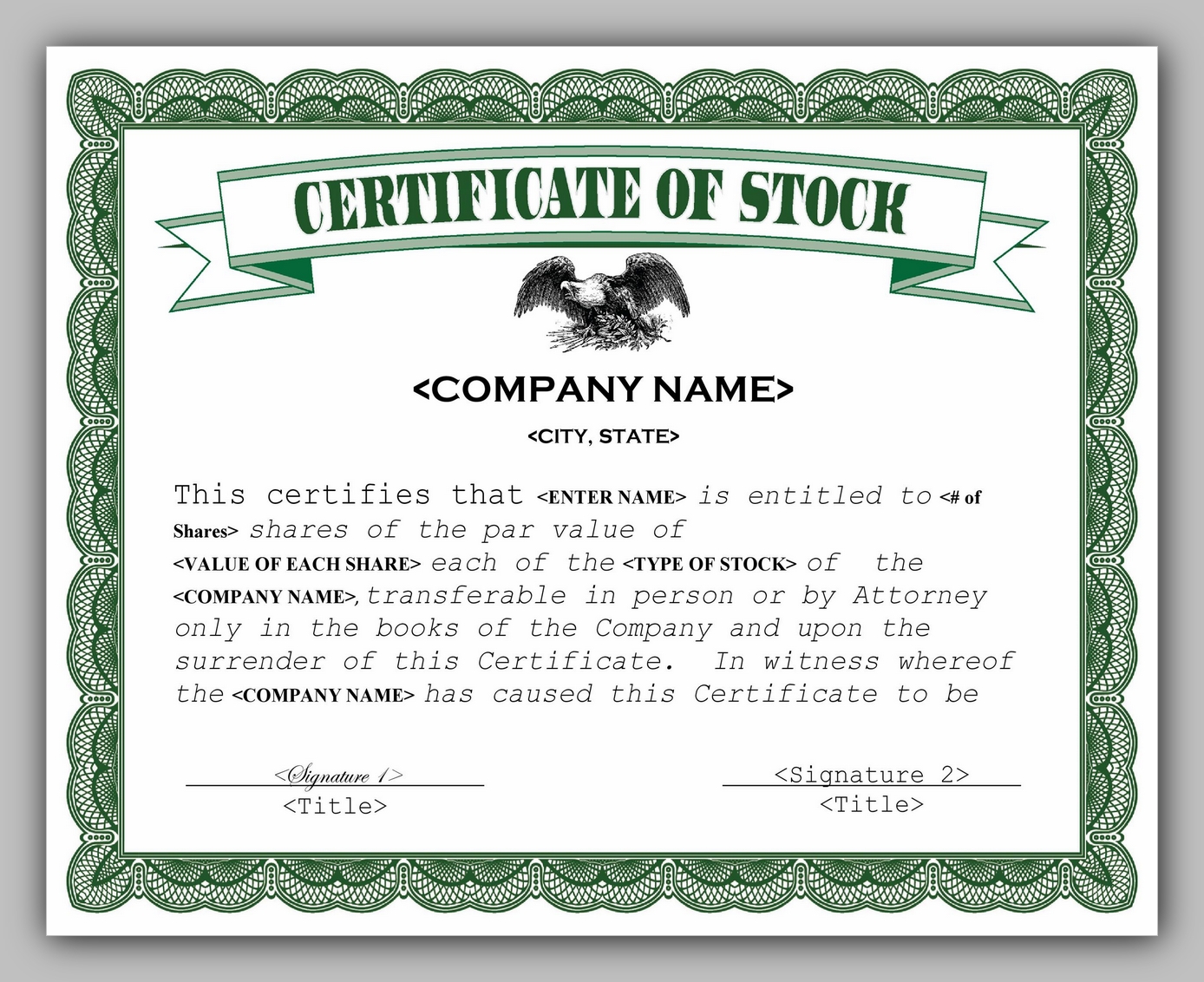 Example of Shareholders Stock Certificate Template