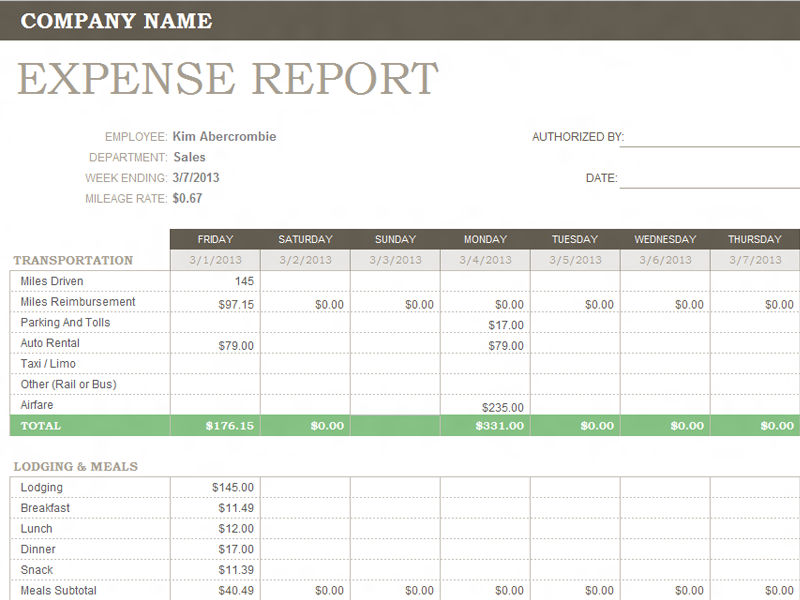 Example of Weekly Expense Report Template