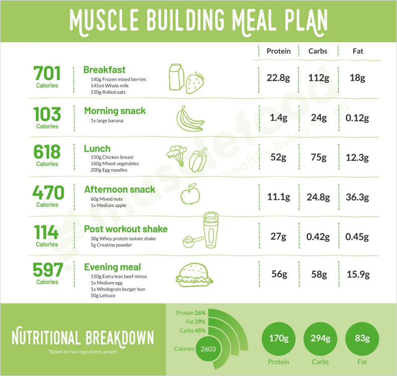 Fast Metabolism Diet Proper Meal Plan Template