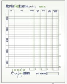 Food Budget Worksheet Template Example