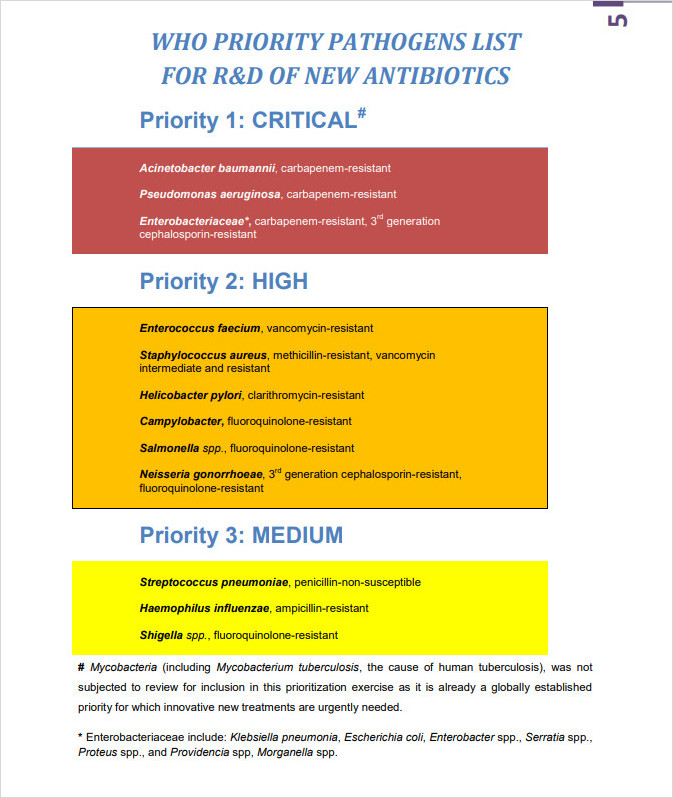 Health Priority List Template