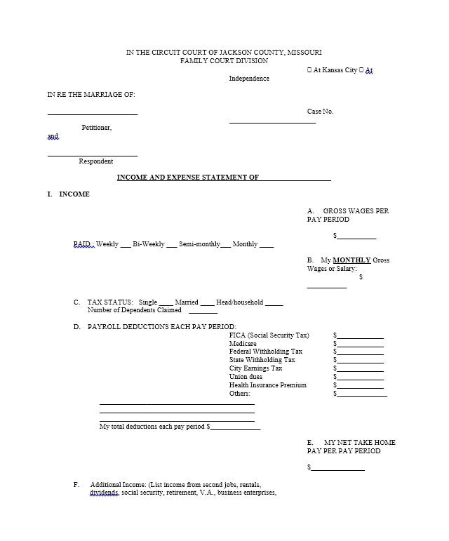 Income and Expense Ledger