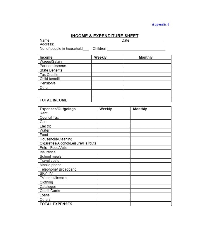 Income and Expense Ledger