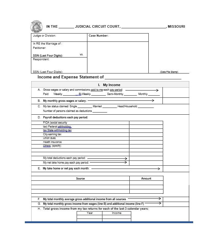 Income and Expense Ledger