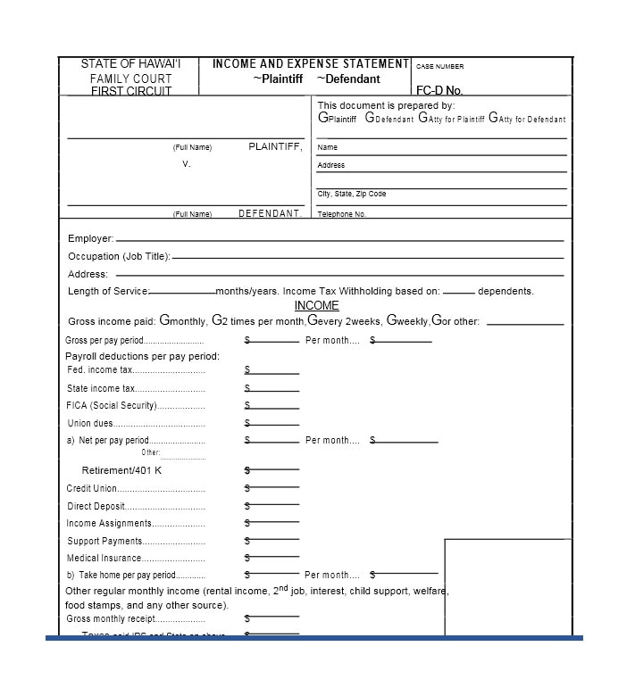 Income and Expense Ledger