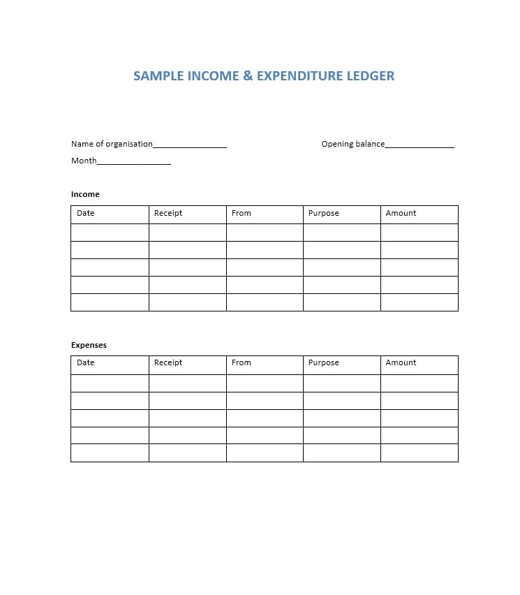 Income and Expense Ledger