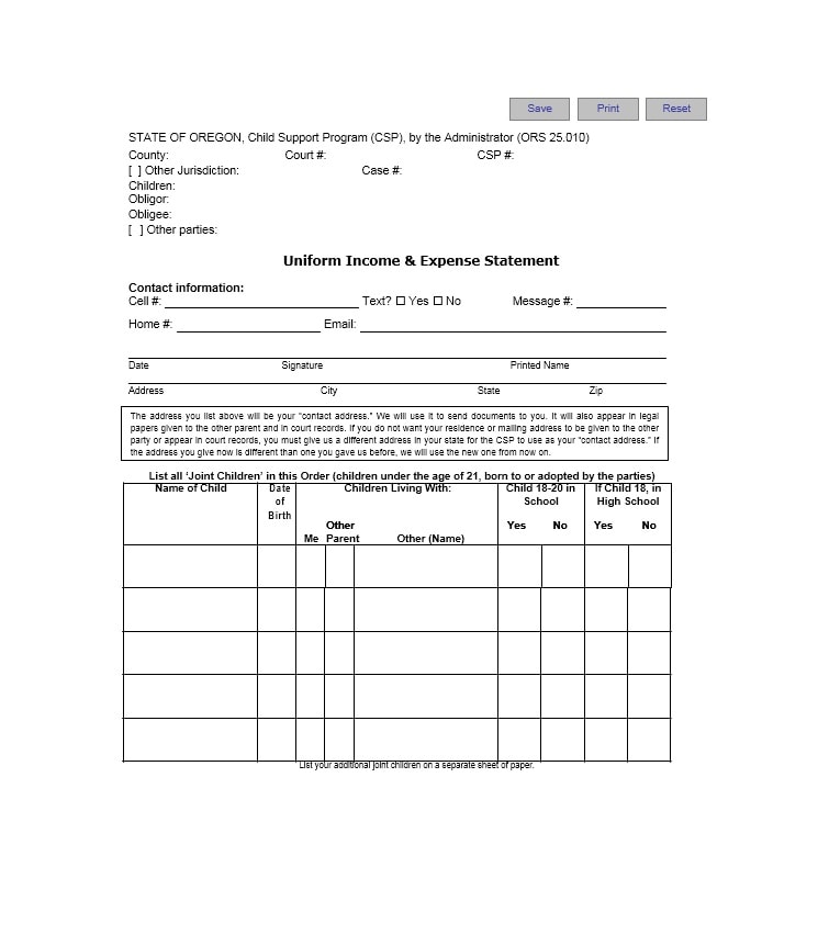 Income and Expense Ledger