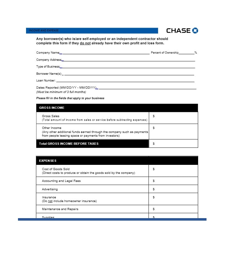 Income and Expense Ledger