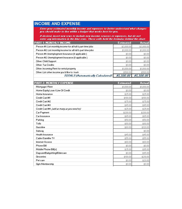 Income and Expense Ledger