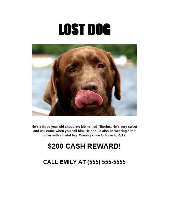 Lost Dog Flyer Template