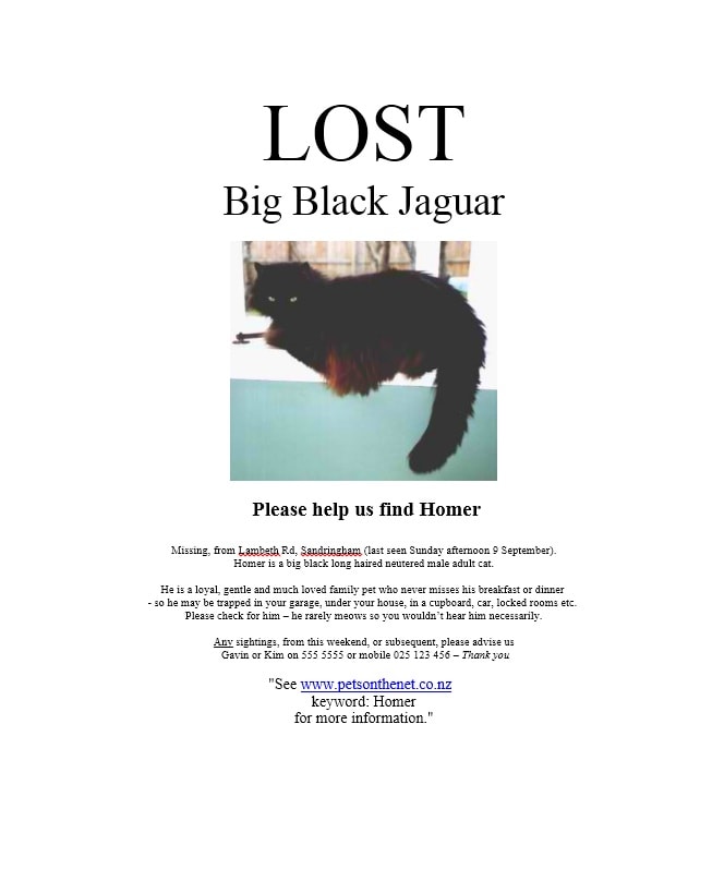 Lost Dog Flyer Template