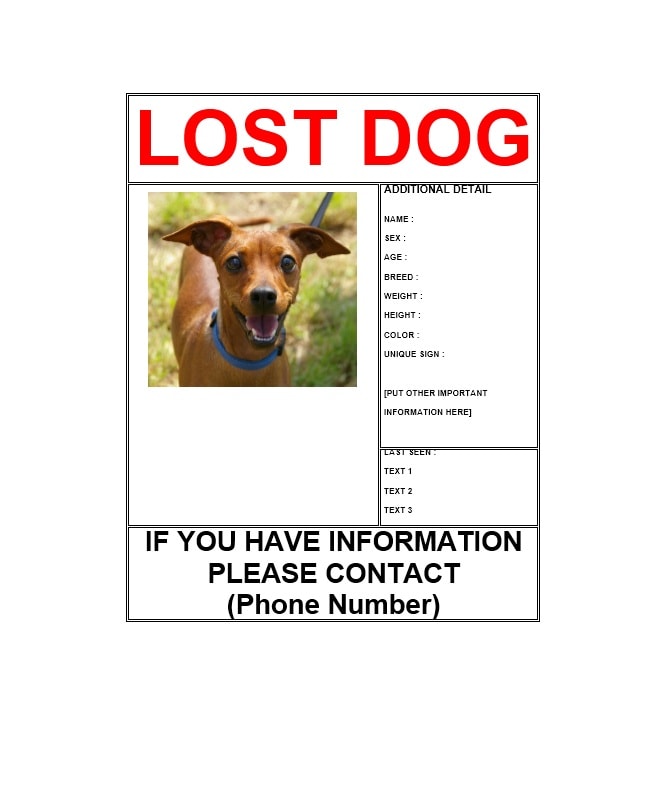 Lost Dog Flyer Template