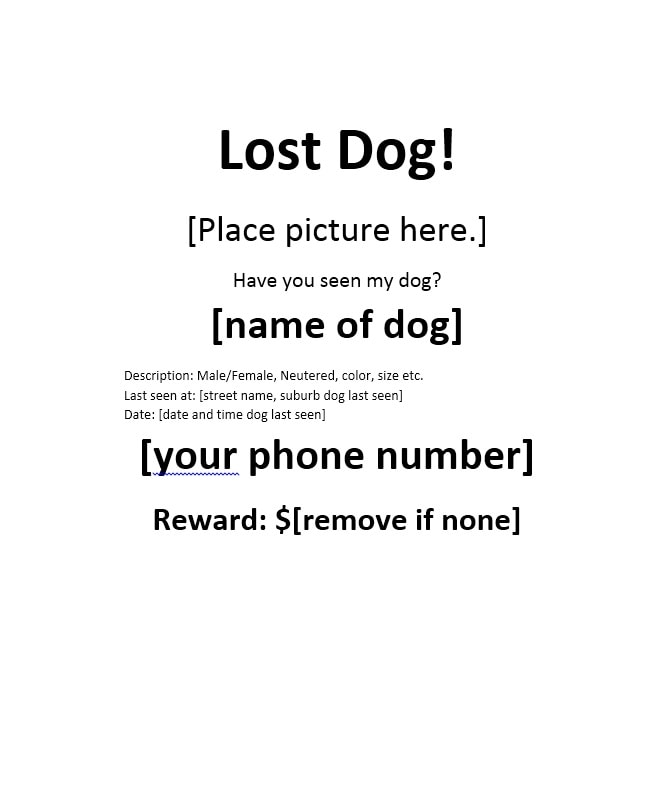 Lost Dog Flyer Template