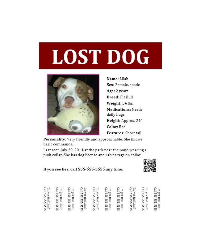 Lost Dog Flyer Template