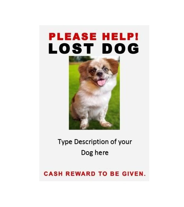 Lost Dog Flyer Template