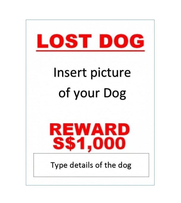 Lost Dog Flyer Template