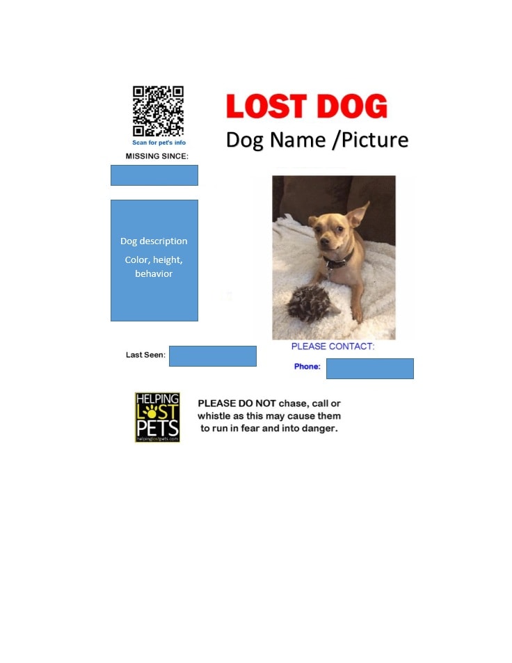 Lost Dog Flyer Template