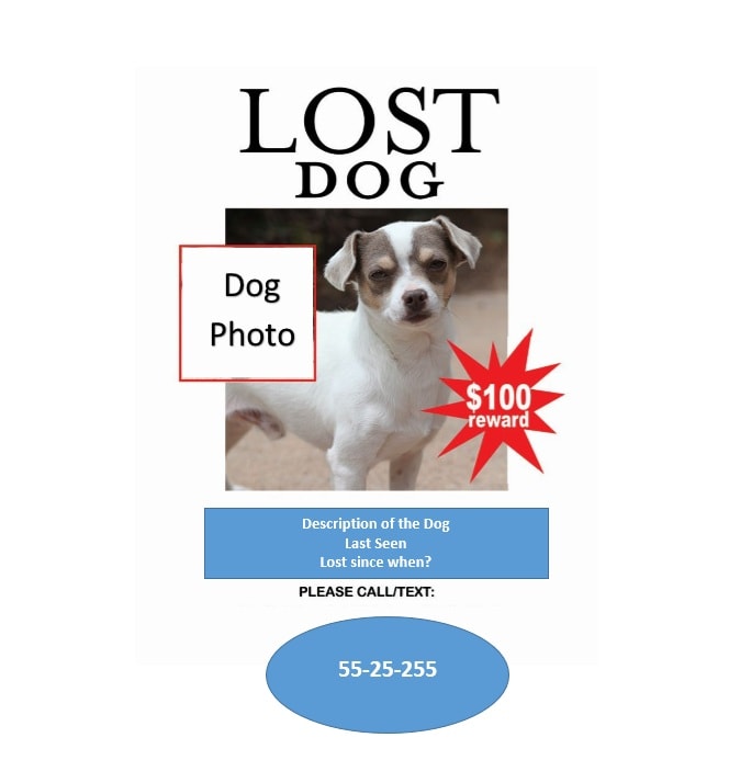 Lost Dog Flyer Template