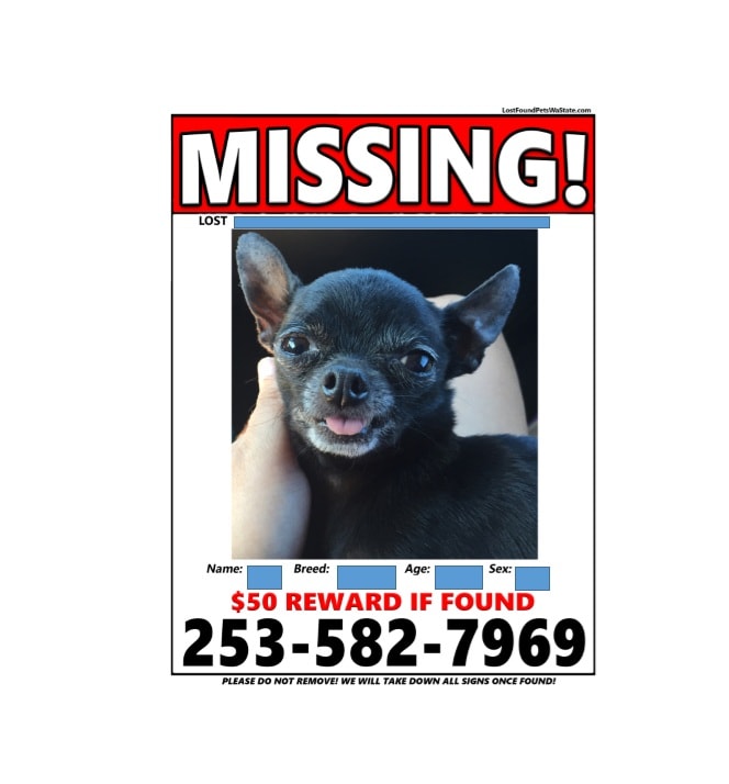 Lost Dog Flyer Template