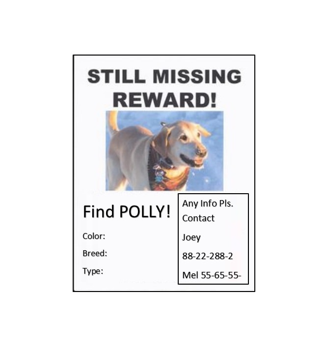 Lost Dog Flyer Template