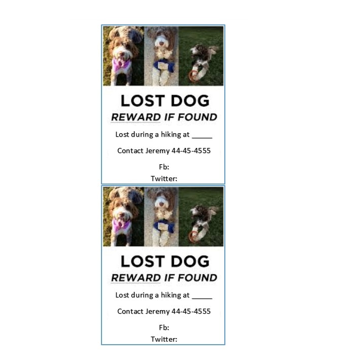 Lost Dog Flyer Template