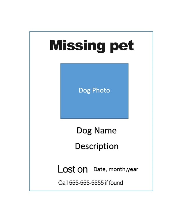 Lost Dog Flyer Template