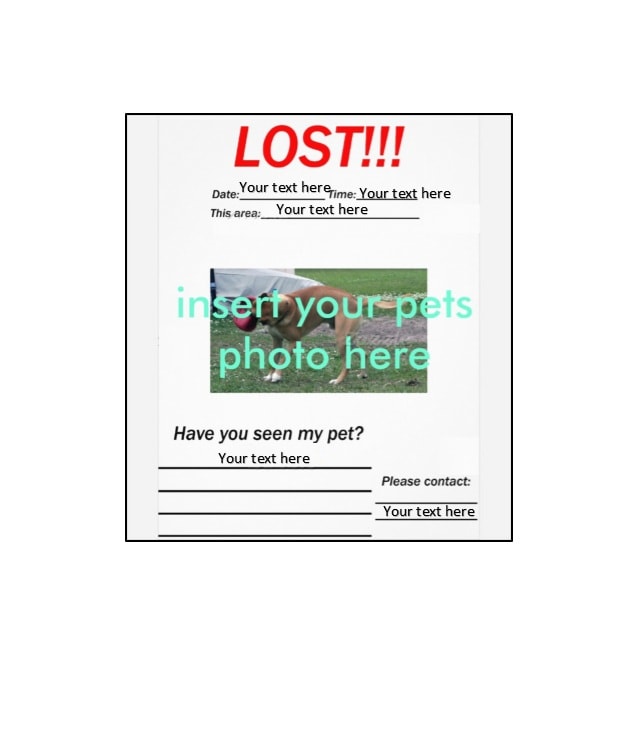 Lost Dog Flyer Template