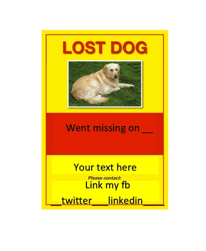 Lost Dog Flyer Template