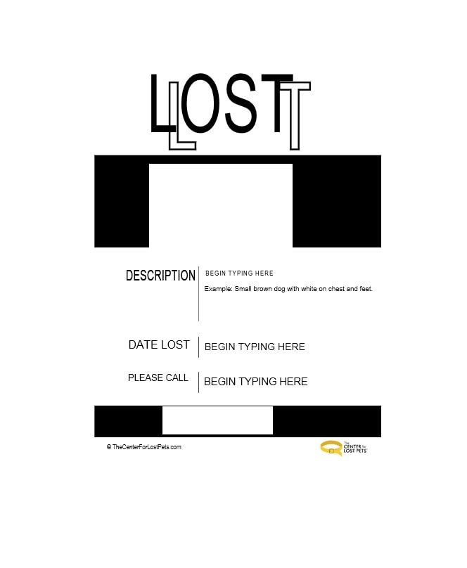 Lost Dog Flyer Template