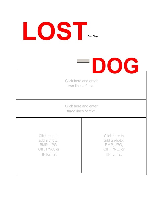 Lost Dog Flyer Template