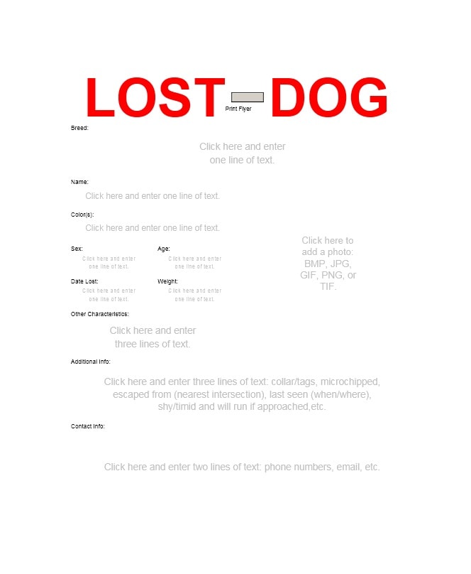 Lost Dog Flyer Template