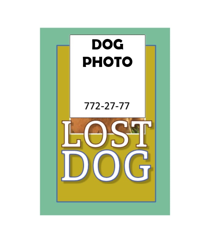 Lost Dog Flyer Template