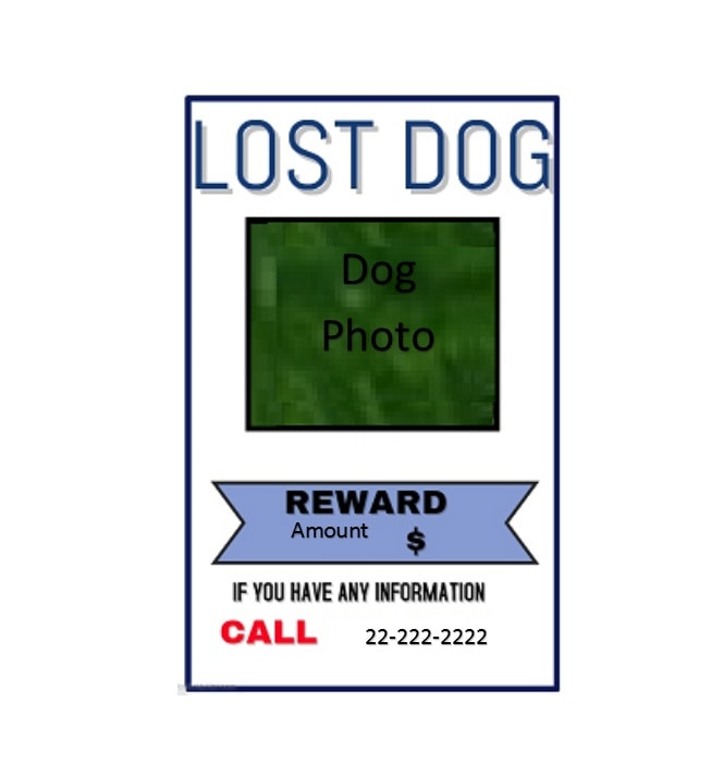 Lost Dog Flyer Template