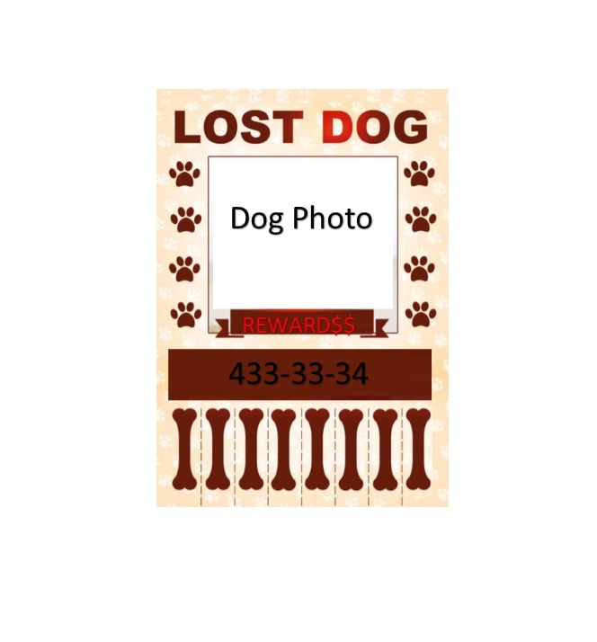 Lost Dog Flyer Template